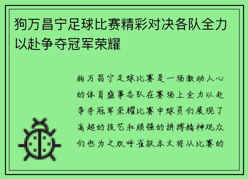 狗万昌宁足球比赛精彩对决各队全力以赴争夺冠军荣耀