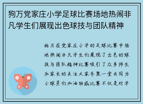 狗万党家庄小学足球比赛场地热闹非凡学生们展现出色球技与团队精神