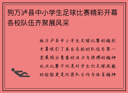 狗万泸县中小学生足球比赛精彩开幕各校队伍齐聚展风采