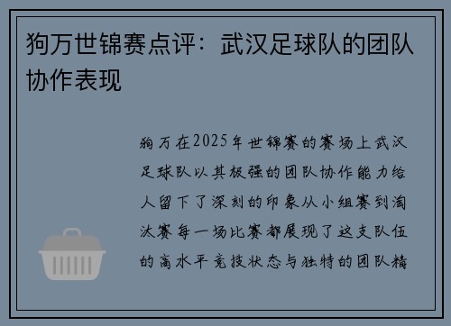 狗万世锦赛点评：武汉足球队的团队协作表现
