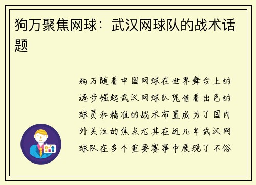 狗万聚焦网球：武汉网球队的战术话题