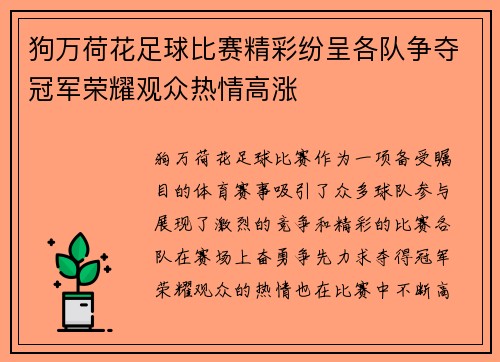 狗万荷花足球比赛精彩纷呈各队争夺冠军荣耀观众热情高涨